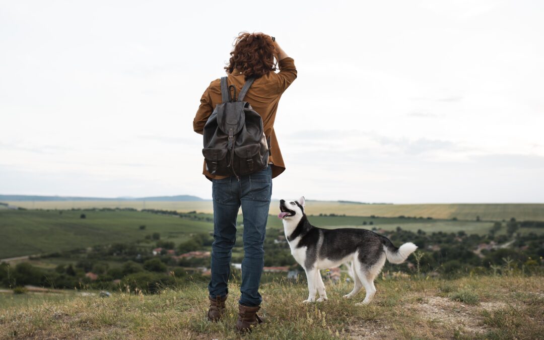 Sentencia novedosa: condenado por violencia vicaria por matar a la mascota de su pareja